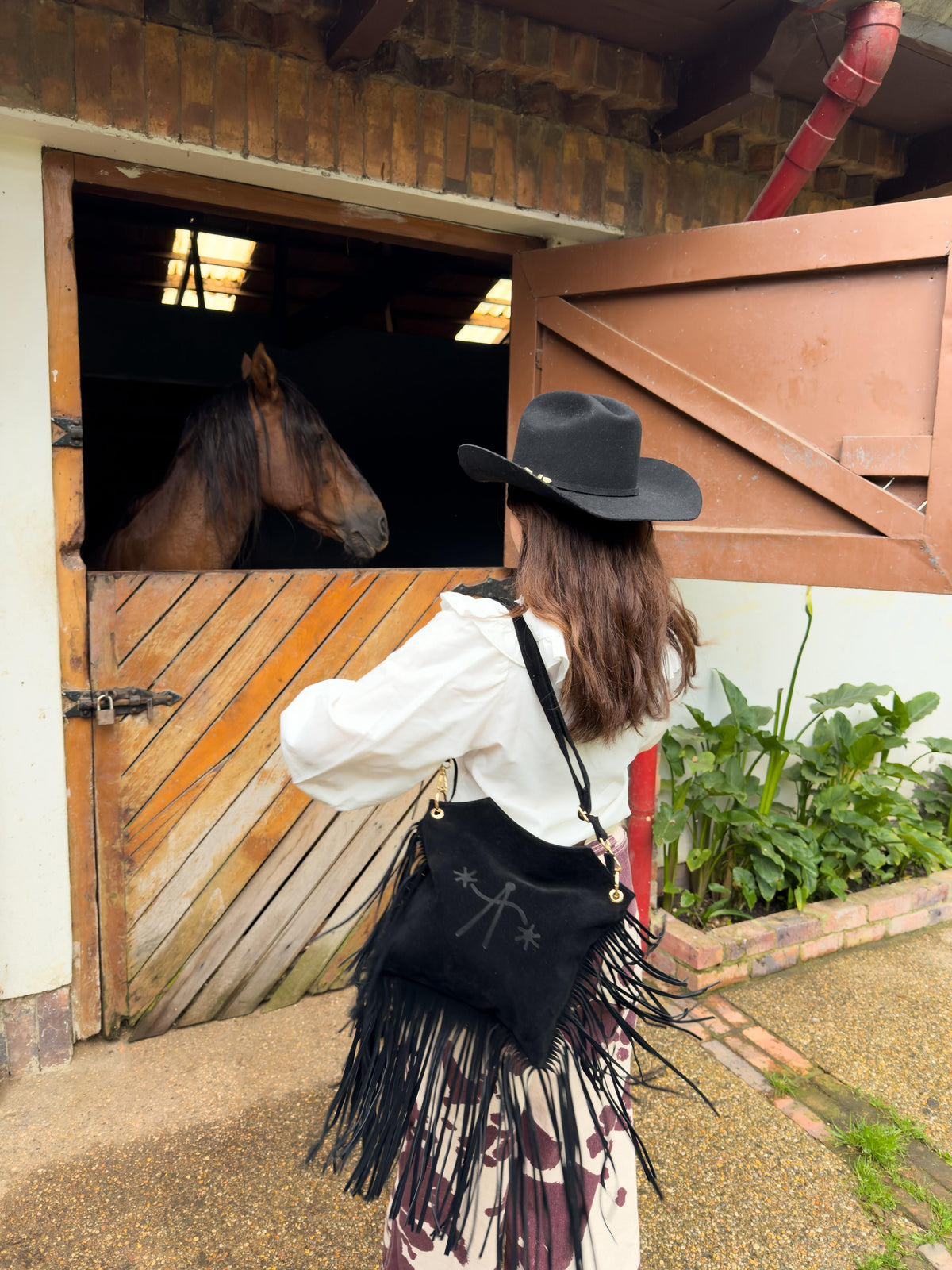 Gaia in the wild west
